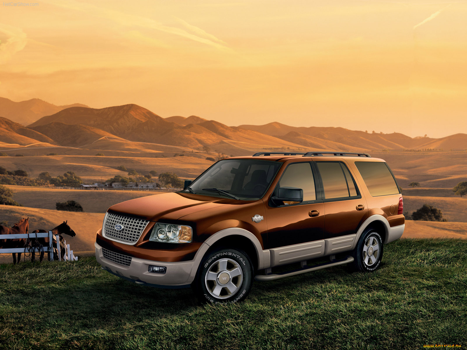 ford, expedition, 2006, 